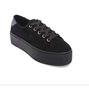 Steve madden women's sneakers